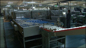 "Продукты Приангарья": "Белореченское"